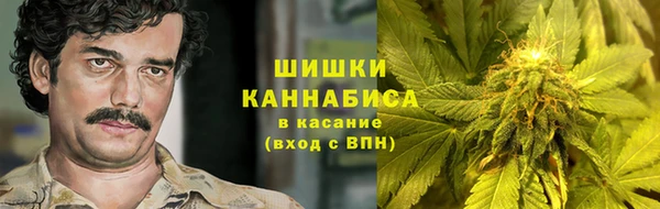 стафф Вязьма