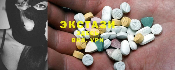 стаф Вяземский