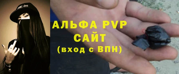 стафф Вязьма