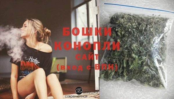 стаф Вяземский