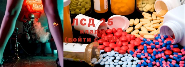 стаф Вяземский
