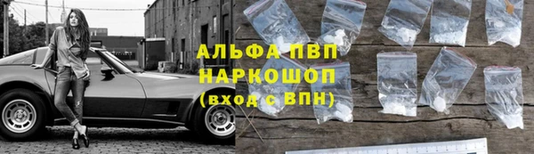 стафф Вязьма